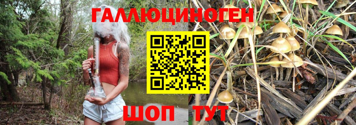Родники  Галлюциногенные грибы прущие грибы  Вход с VPN 
